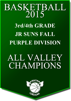 banner 2015 JR SUNS CHAMPS FALL AV PURPLE