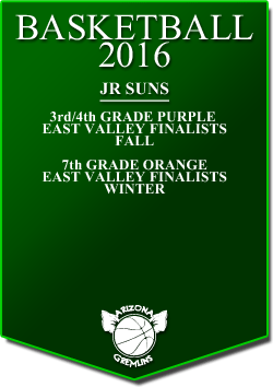 banner 2016 JR SUNS LEAGUE cont