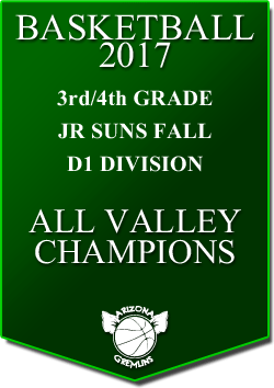 banner 2017 JR SUNS CHAMPS FALL AV D1