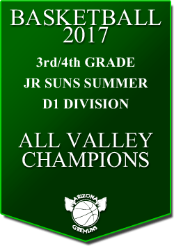 banner 2017 JR SUNS CHAMPS SUMMER AV D1