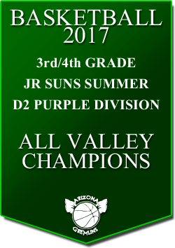 banner 2017 JR SUNS CHAMPS SUMMER AV D2 PURPLE