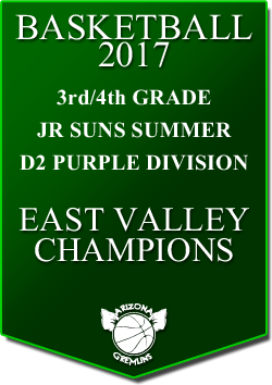 banner 2017 JR SUNS CHAMPS SUMMER EV D2 PURPLE