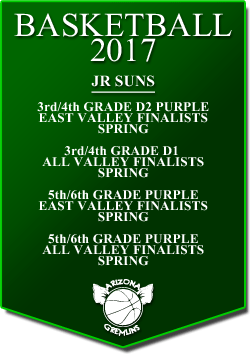 banner 2017 JR SUNS LEAGUE