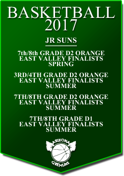 banner 2017 JR SUNS LEAGUE