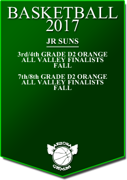 banner 2017 JR SUNS LEAGUE