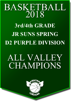 banner 2018 JR SUNS CHAMPS SPRING AV PURPLE