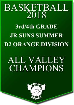 banner 2018 JR SUNS CHAMPS SUMMER AV ORANGE