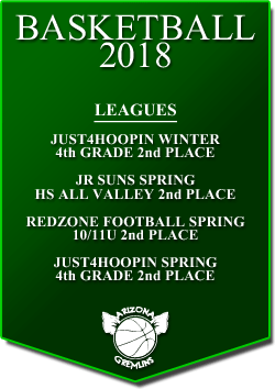 banner 2018 LEAGUES