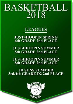 banner 2018 LEAGUES