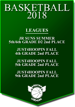 banner 2018 LEAGUES
