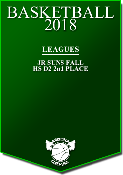 banner 2018 LEAGUES