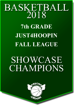 banner 2018 LEAGUE CHAMPS Fall 7th