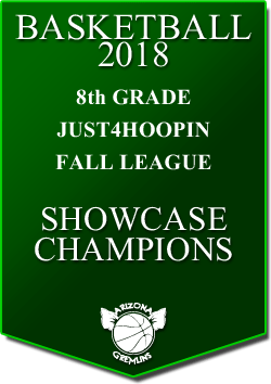 banner 2018 LEAGUE CHAMPS Fall 8th