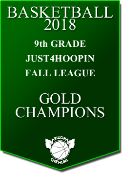 banner 2018 LEAGUE CHAMPS Fall 9th