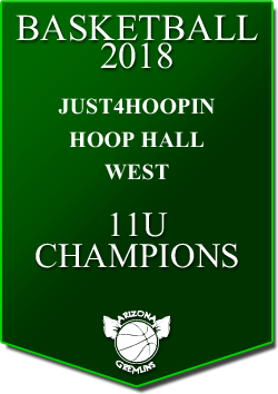 banner 2018 TOURNEYS CHAMPS HoopHall 11u