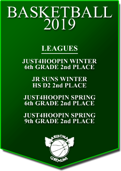 banner 2019 LEAGUES
