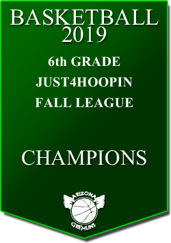 banner 2019 LEAGUE Champs 6th fall