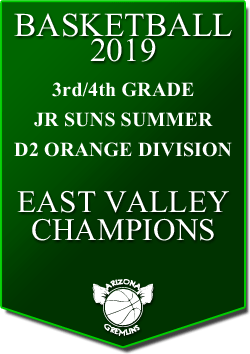 banner 2019 LEAGUE Champs jrsuns 3rd4th summer