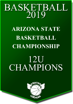 banner 2019 TOURNEYS CHAMPS AZSTATE 12U