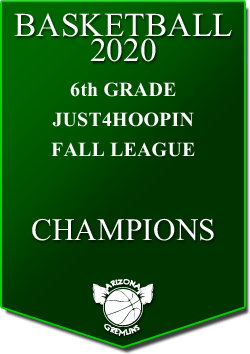 banner 2020 LEAGUE Champs 6th fall