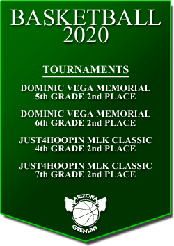 banner 2020 TOURNEYS