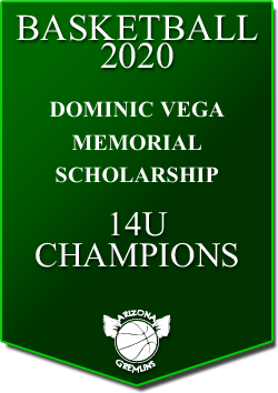 banner 2020 TOURNEYS CHAMPS DV 14U