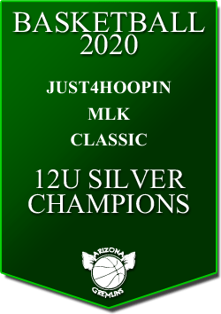 banner 2020 TOURNEYS CHAMPS MLK 12U