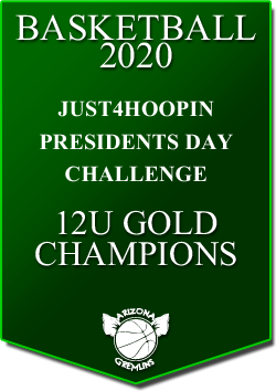 banner 2020 TOURNEYS CHAMPS PREZ 12U