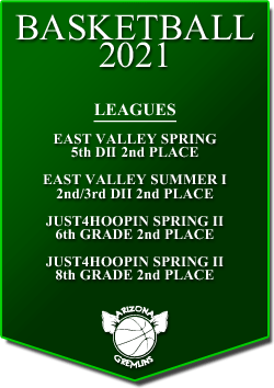 banner 2021 LEAGUES