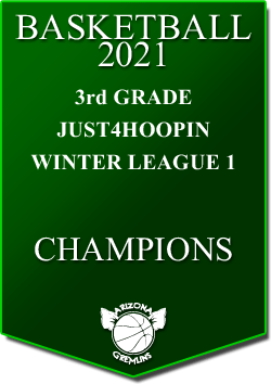 banner 2021 LEAGUE Champs 3rd Winter