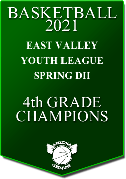 banner 2021 LEAGUE Champs EVYL 10u SPRING