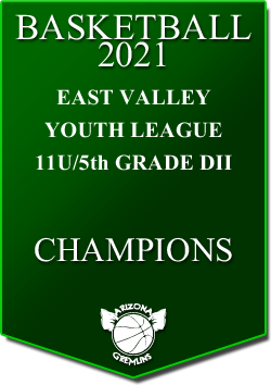 banner 2021 LEAGUE Champs EVYL 11u winter