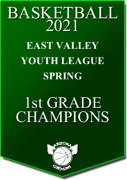 banner 2021 LEAGUE Champs EVYL 7u SPRING