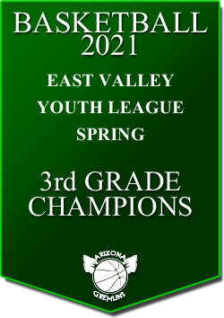 banner 2021 LEAGUE Champs EVYL 9u SPRING