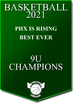 banner 2021 TOURNEYS CHAMPS PIR BE 9u