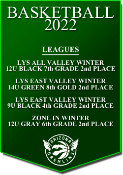 banner 2022 LEAGUES