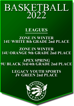 banner 2022 LEAGUES
