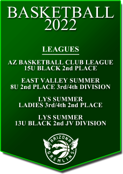 banner 2022 LEAGUES