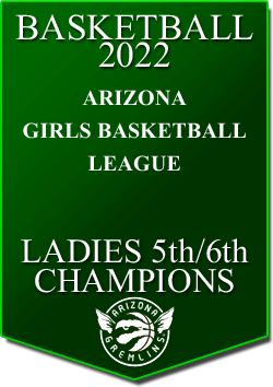 banner 2022 LEAGUE Champs AGBL-SUMMER-5TH6TH
