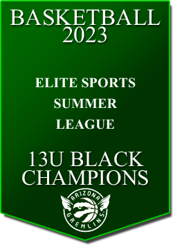 banner 2022 LEAGUE Champs ES SUMMER 13U