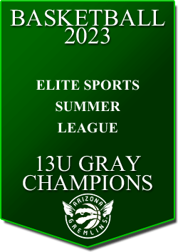 banner 2022 LEAGUE Champs ES SUMMER 13U GRAY