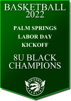 banner 2022 TOURNEYS Champs PALM 8U