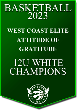 banner 2023 TOURNEYS Champs AOG 12U