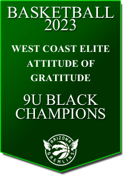 banner 2023 TOURNEYS Champs AOG 9U