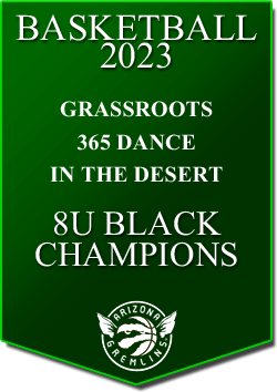 banner 2023 TOURNEYS Champs GRASSROOTS 8U