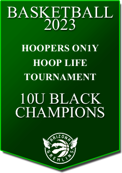 banner 2023 TOURNEYS Champs HL 10U
