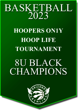 banner 2023 TOURNEYS Champs HL 8U