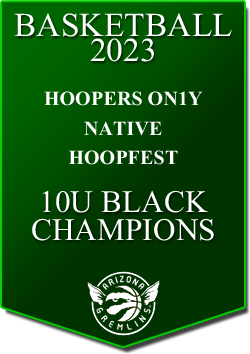 banner 2023 TOURNEYS Champs NATIVE 10U