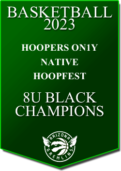 banner 2023 TOURNEYS Champs NATIVE 8U