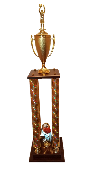 2016 Inspire Reindeer Run